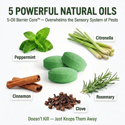 5 essential oils that repel pests peppermint ginger camphor natural mouse and ant repellent